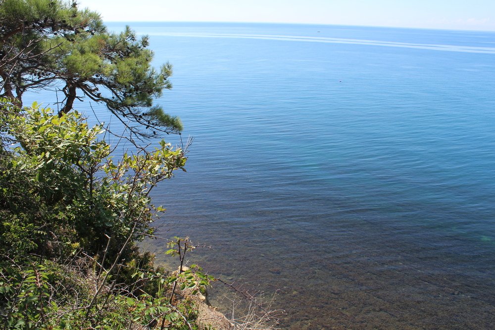 Photograph by Сергей