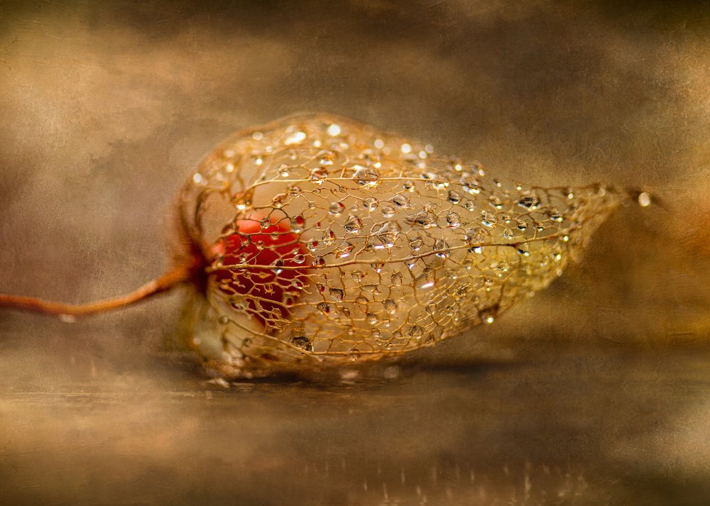 Photograph by Kristina Zvinakeviciute