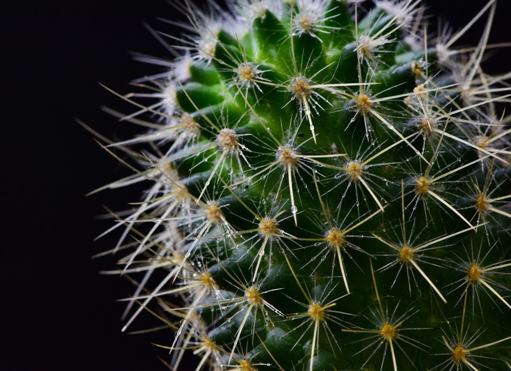 Photograph by Александр Тарасов