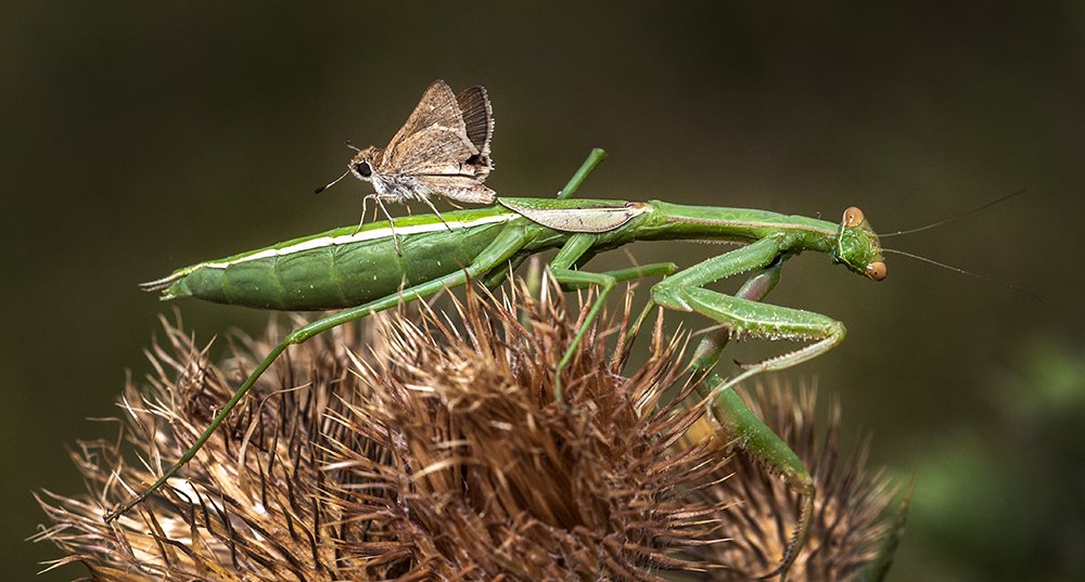 Photograph by Andrés Ruggeri
