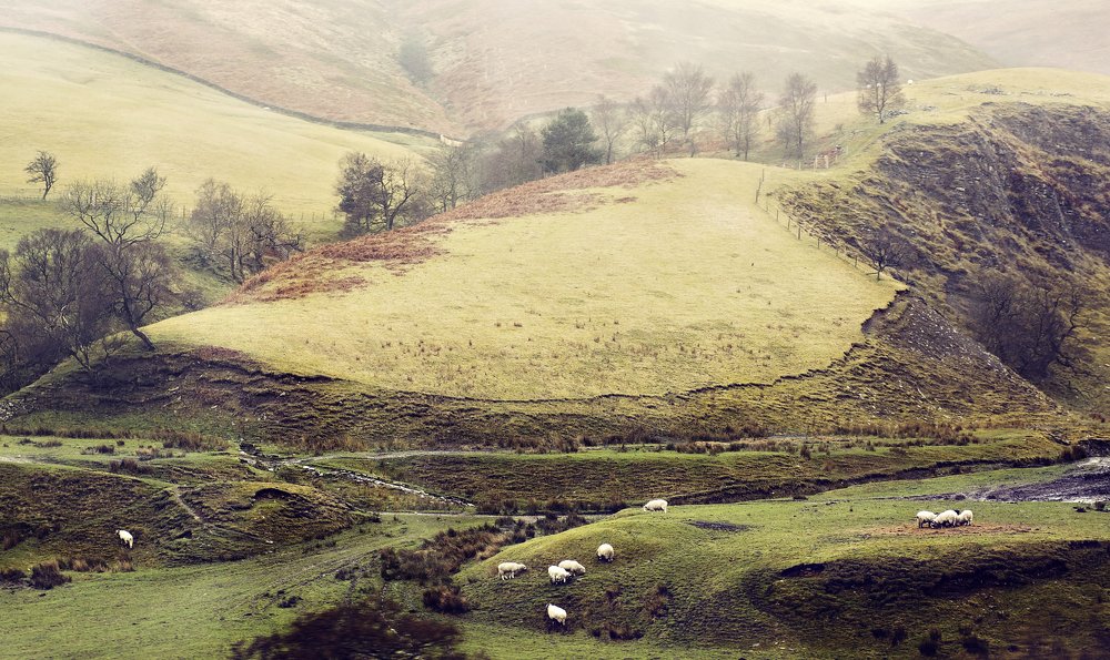 Photograph by Kristina Zvinakeviciute