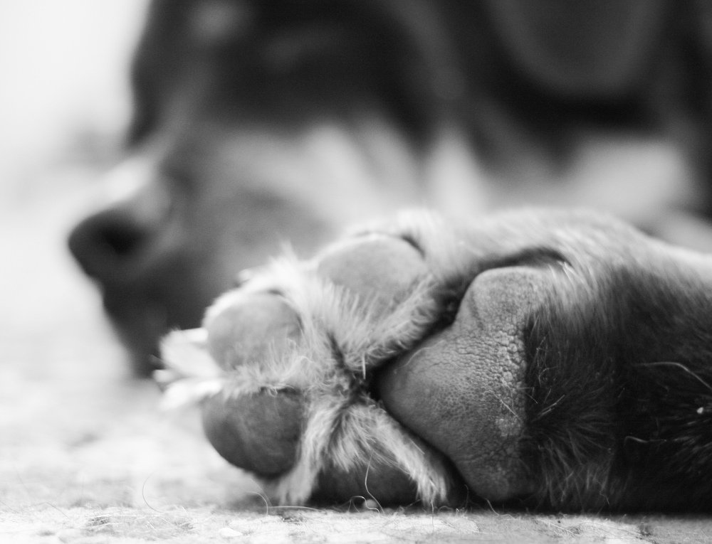 Photograph by Лариса Фомина