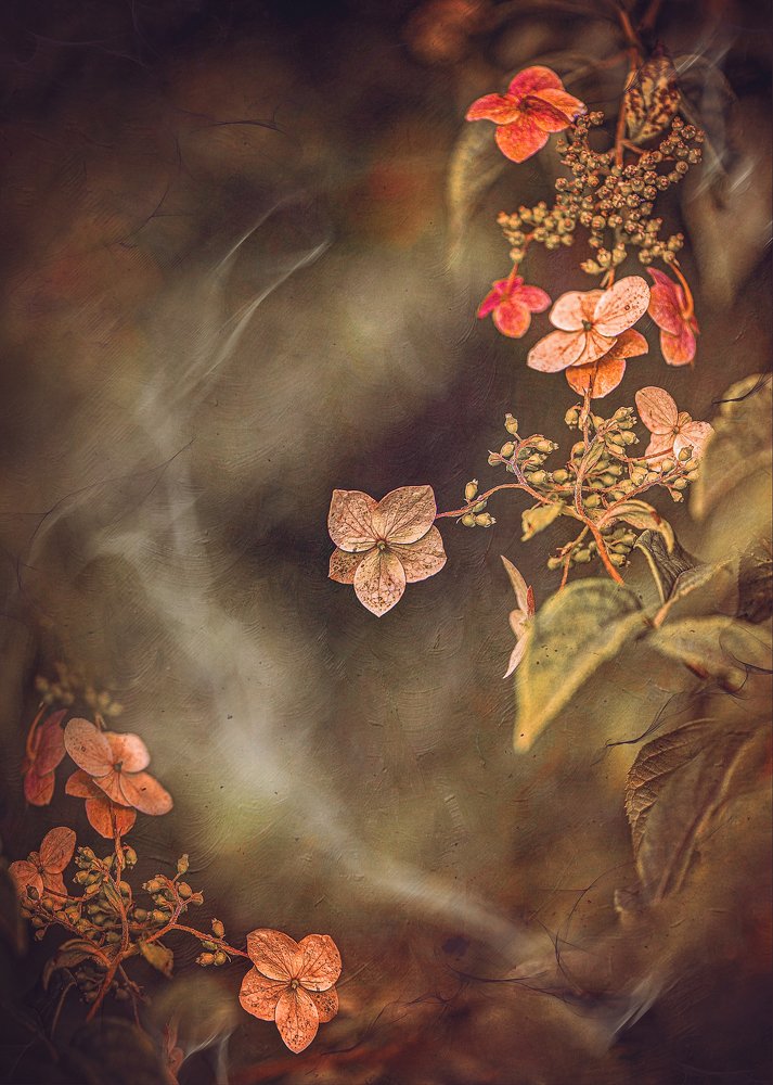 Photograph by Kristina Zvinakeviciute