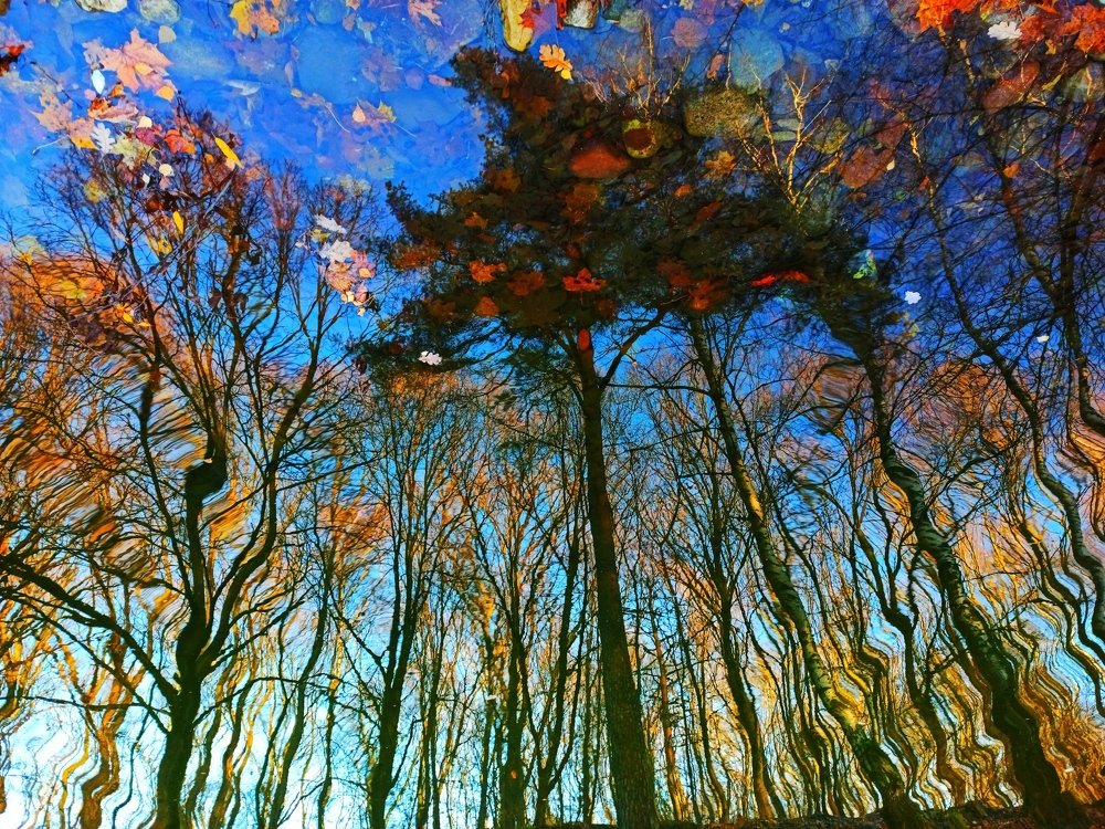 Осеннее отражение