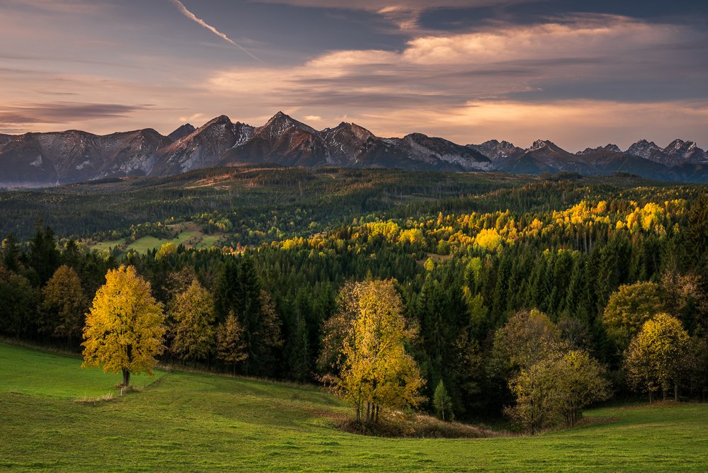 Photograph by Anna Bera