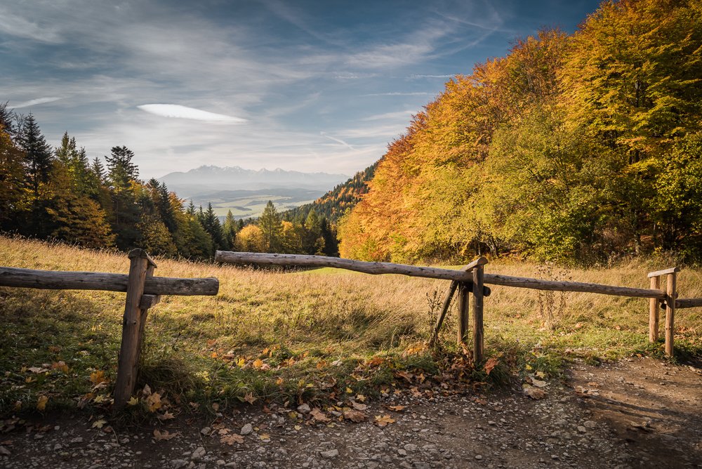 Photograph by Anna Bera