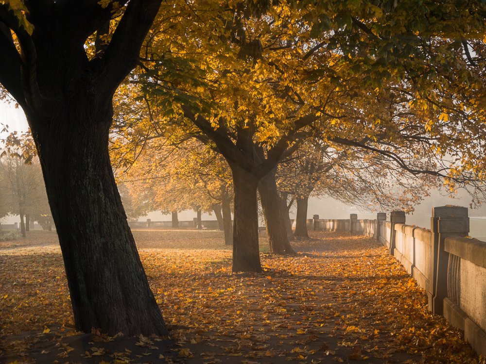 Photograph by Anna Bera