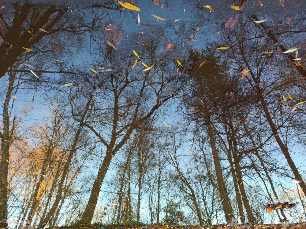 Photograph by Борис Каширин