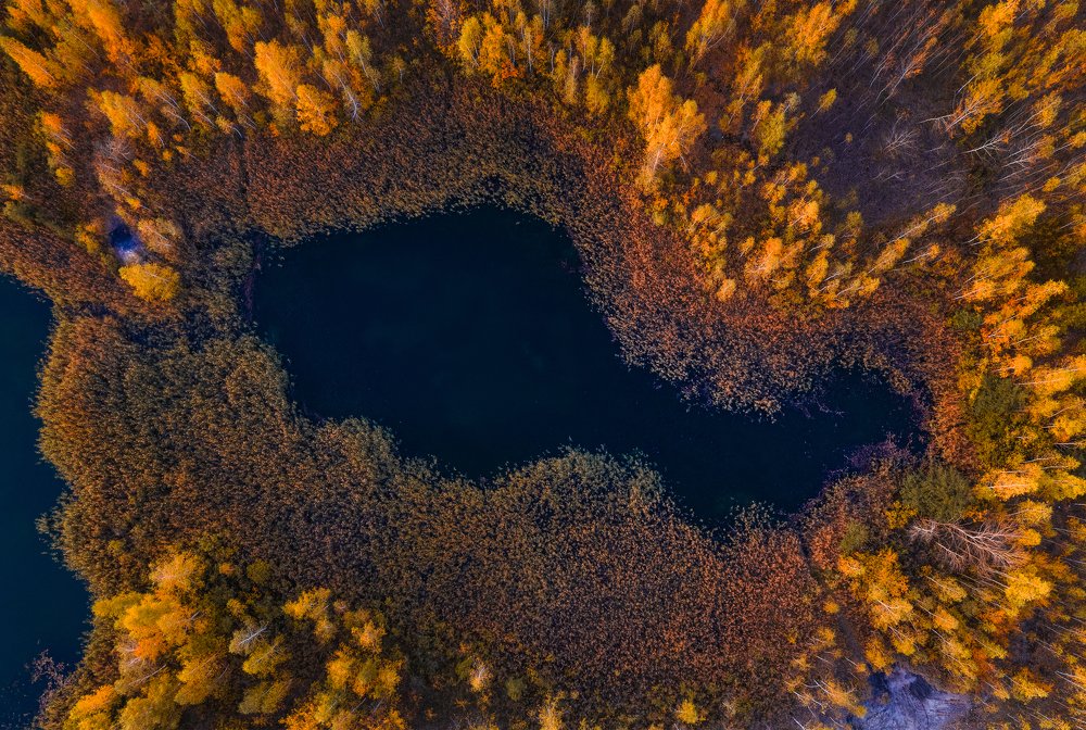 Фотография автора Гарбузов Илья
