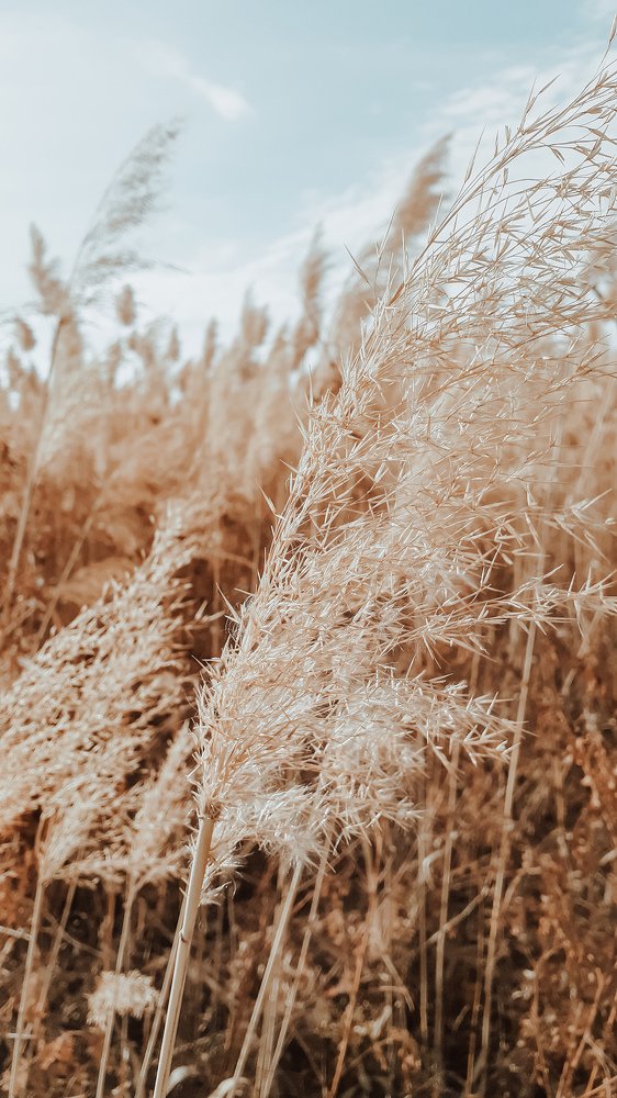 Photograph by Анастасия Якушева