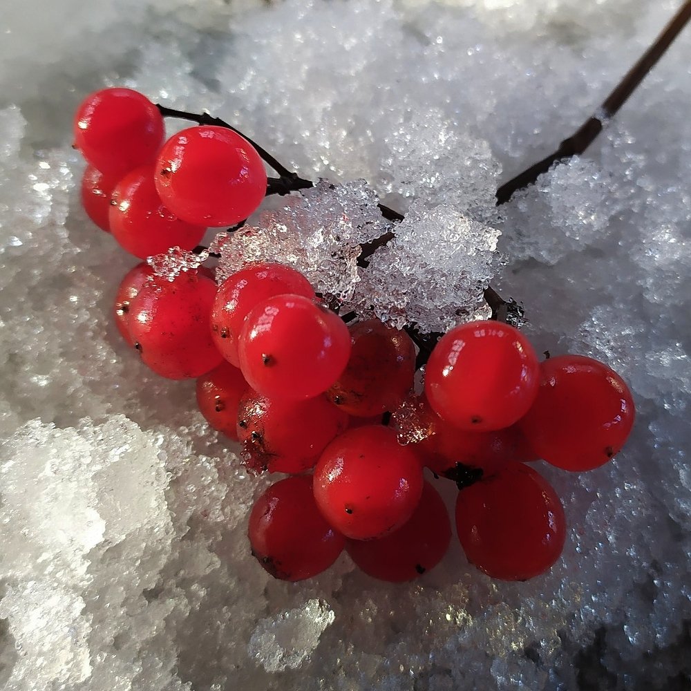 Photograph by Елена Павлова