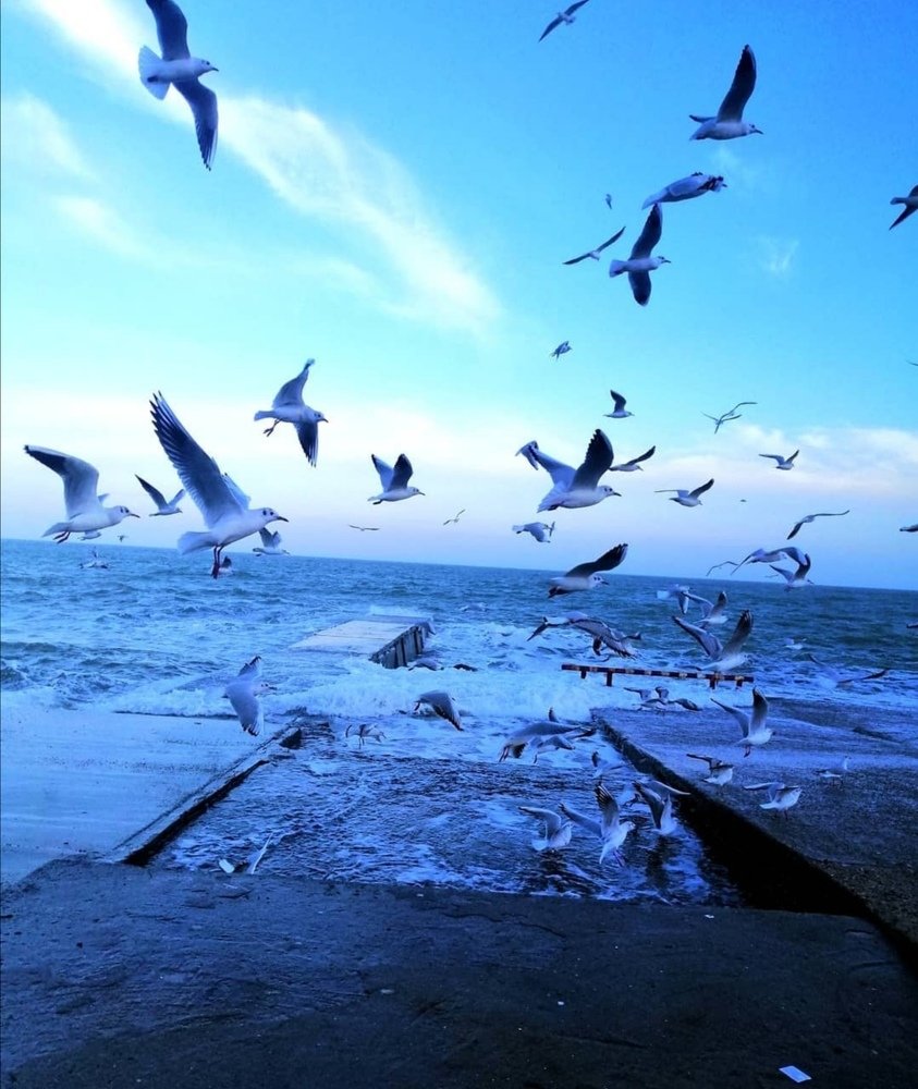 Photograph by Наталия Кудрявцева