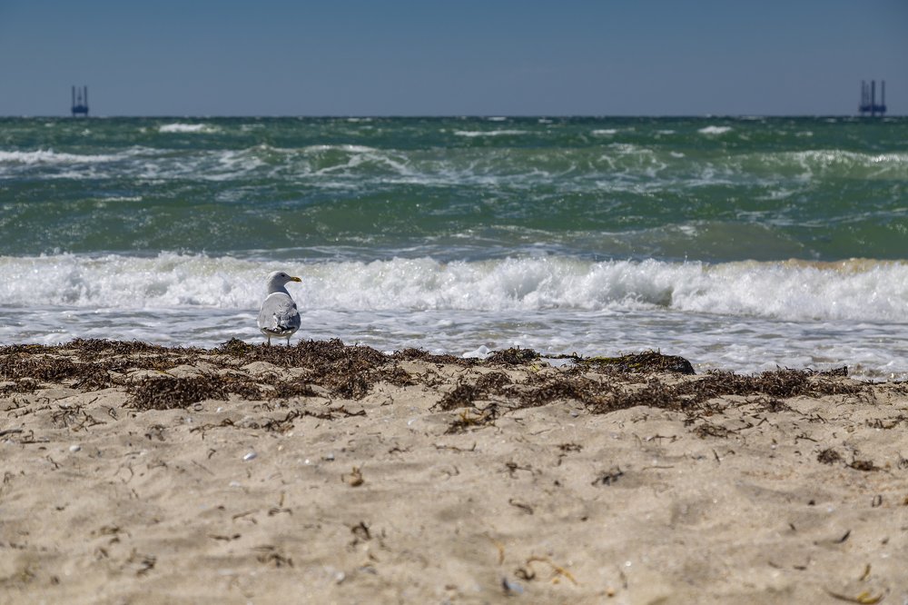 Photograph by Андрей Ларин