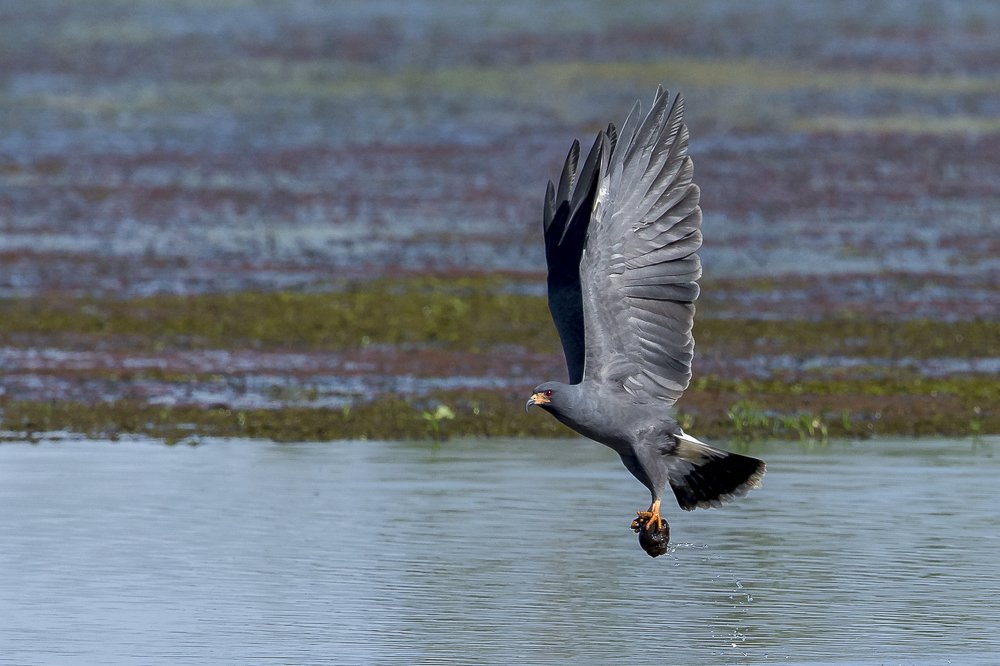 Photograph by Claudio Frateschi