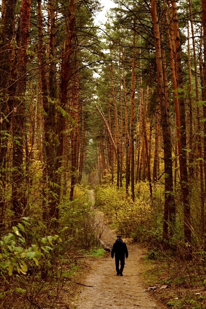 Photograph by Anna Haidukova