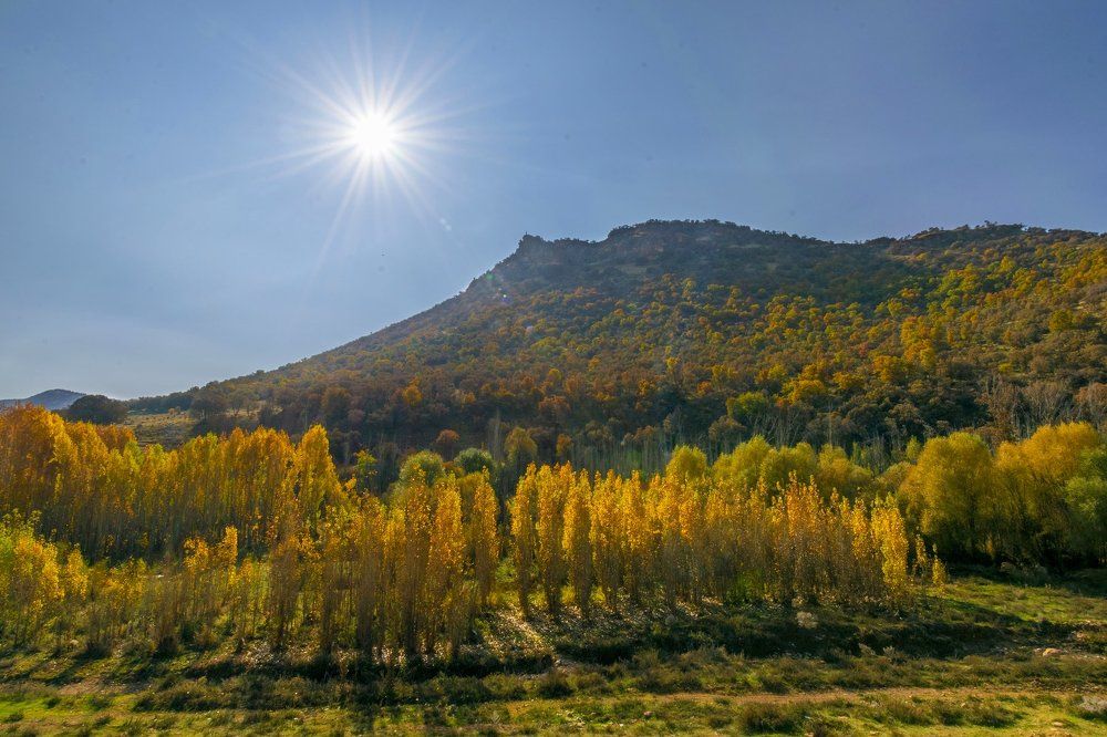 Photograph by Edris Khosravizadeh