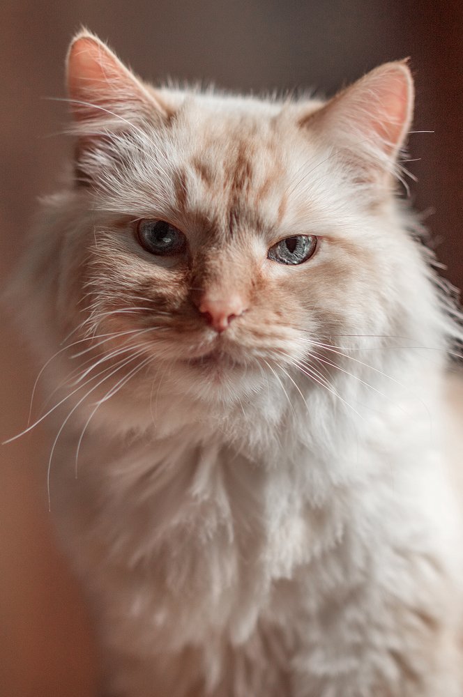 Photograph by Iryna Petrenko