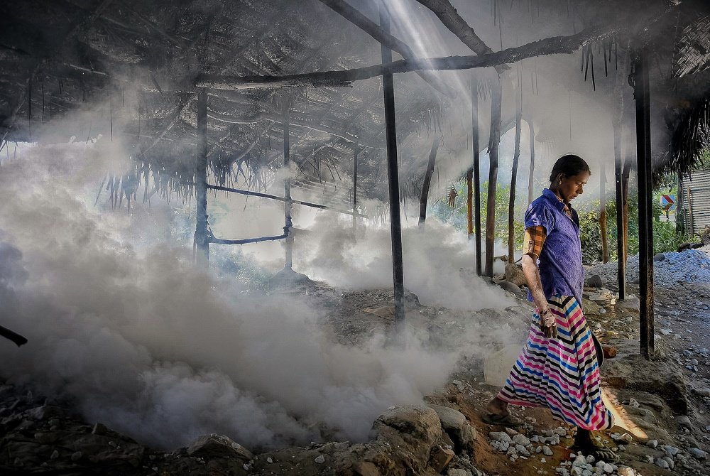 Lives that never color