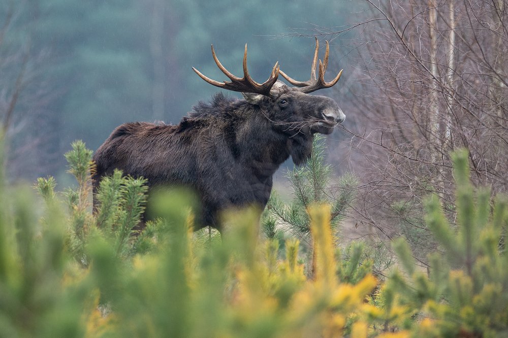 Photograph by Dariusz Dryl