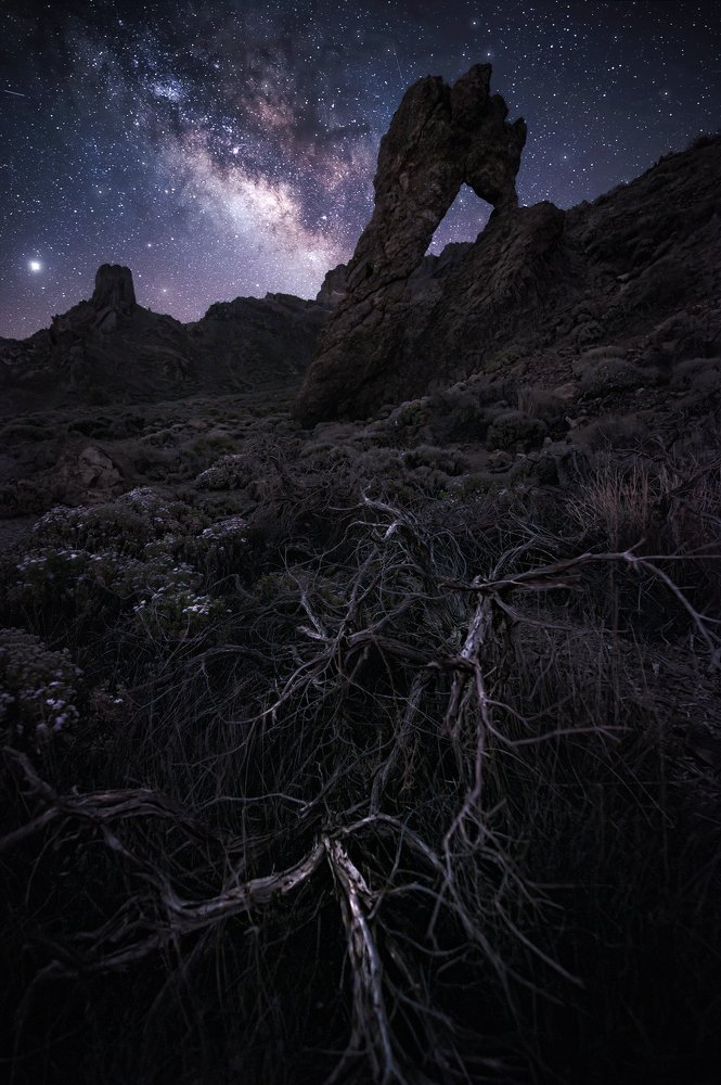 Photograph by Photography Nusan