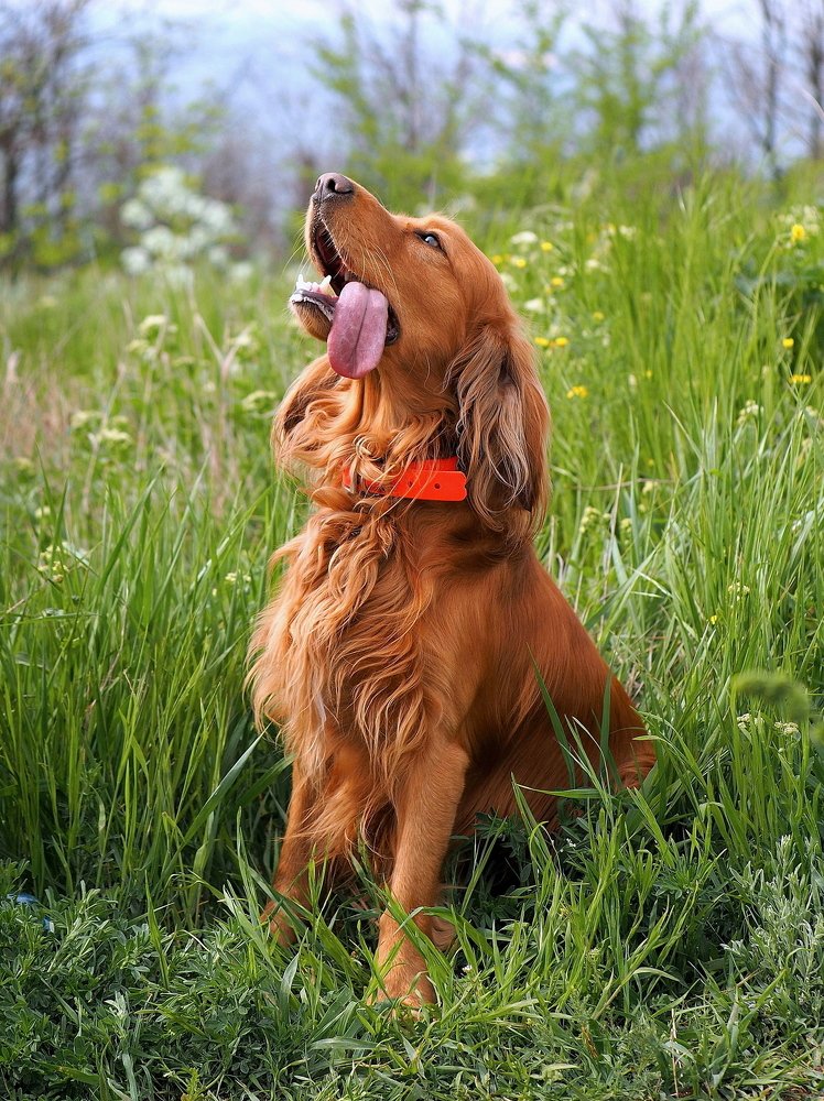 Photograph by Олег Присяжнюк