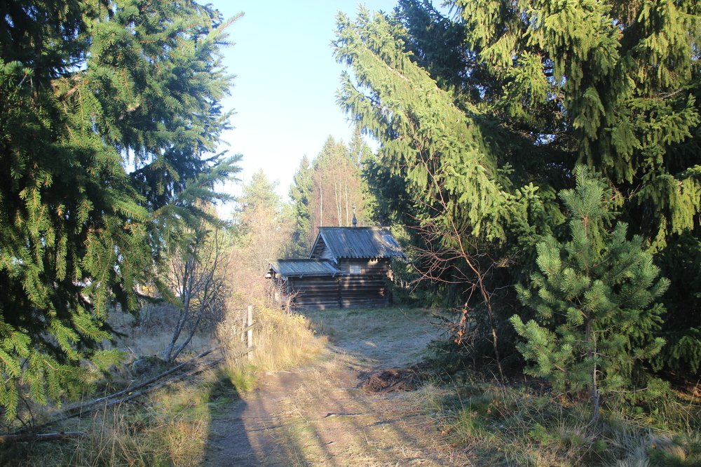 Photograph by Макарова Татьяна