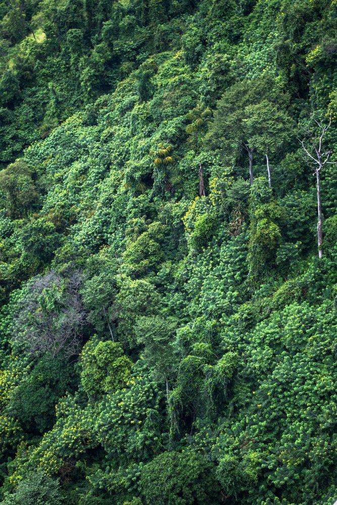 Photograph by Shan Jayasooriya