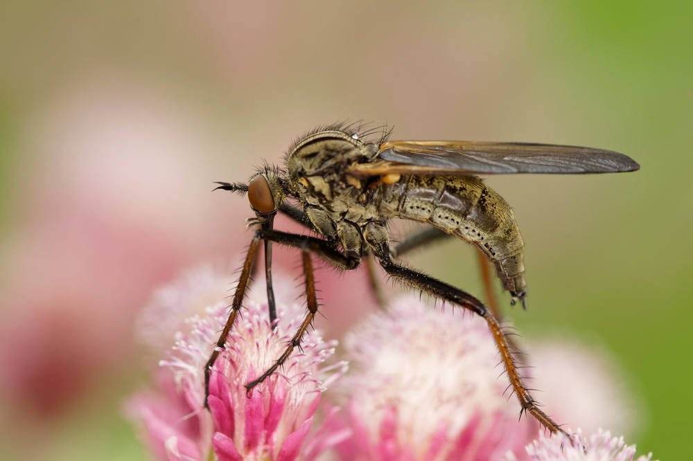 Photograph by Пётр Калачев