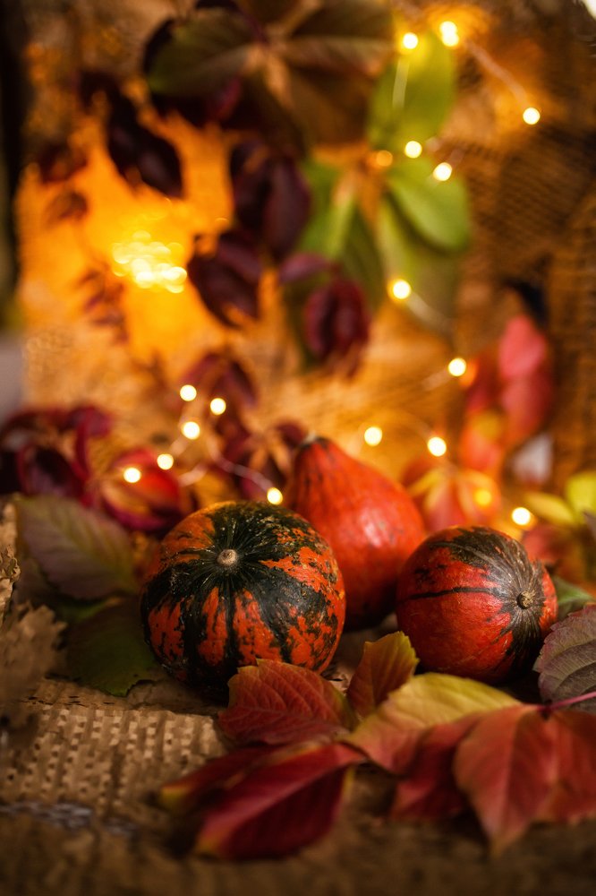 Photograph by Olia Kovryhina (Kudrina)