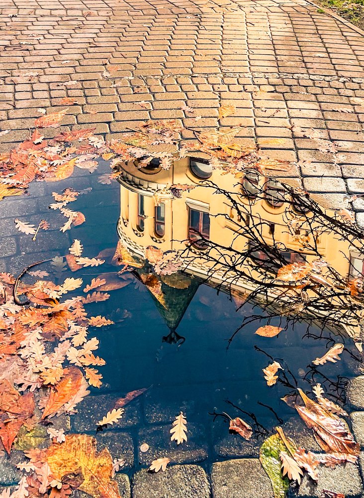 Photograph by Kascheev Eugene