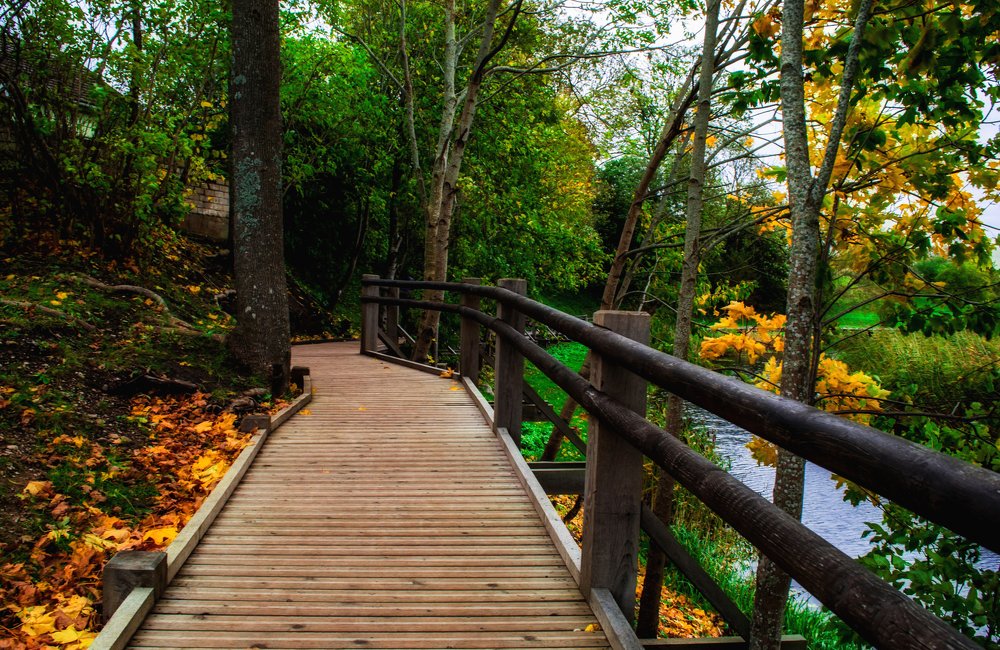 Photograph by Светлана Ковалёнок