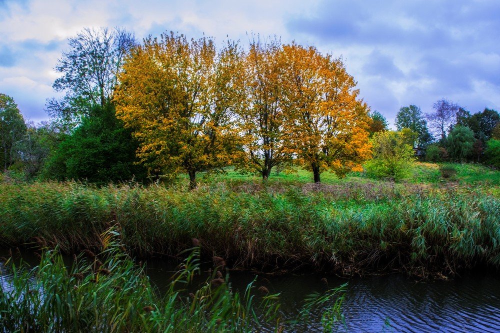 Photograph by Светлана Ковалёнок