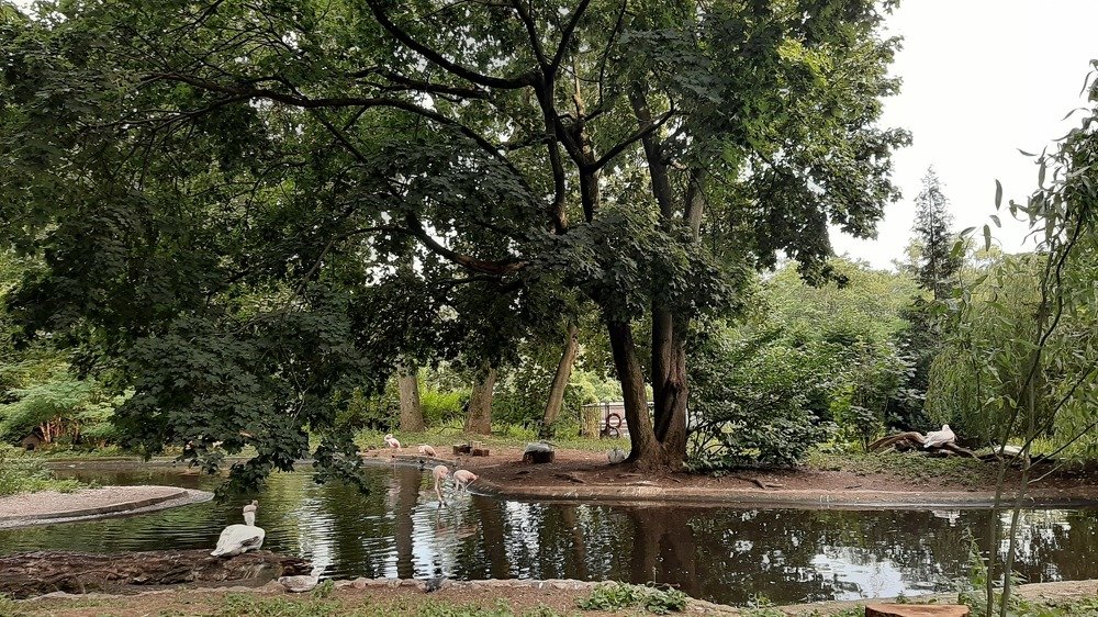 Photograph by Марийона Савоненко