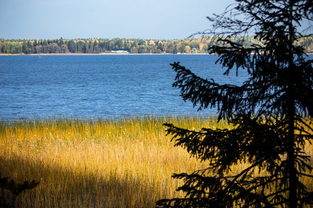 Photograph by Nora Cheprasova