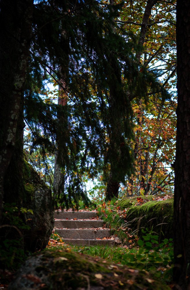 Photograph by Nora Cheprasova