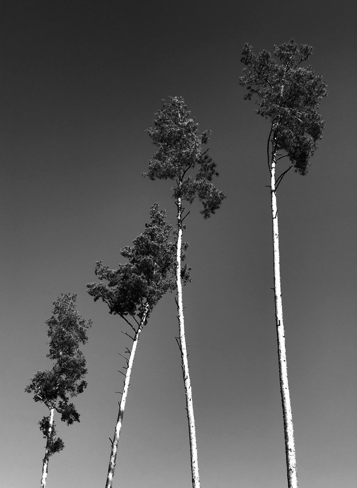 Photograph by Anna Haidukova