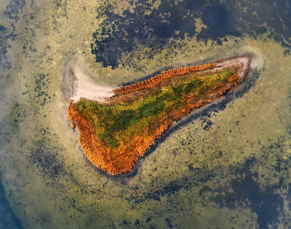 Photograph by Ernestas Balcikonis