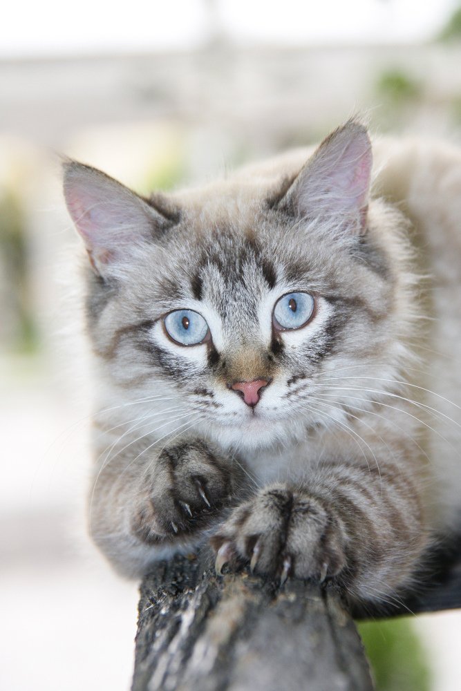 Photograph by Лариса Фомина