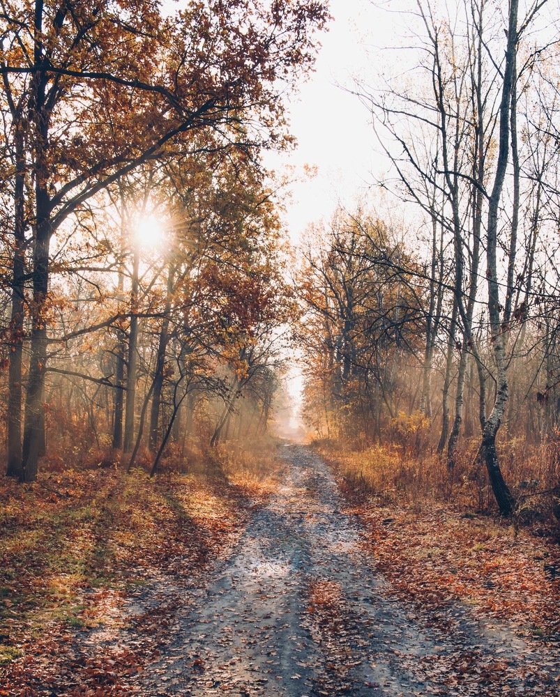 Photograph by ЕВГЕНИЙ РУДЕНКО