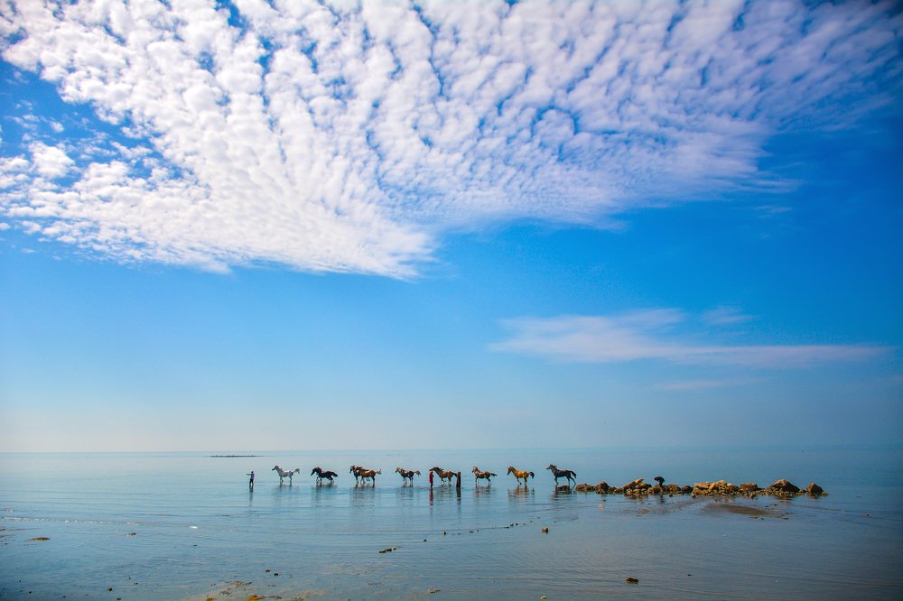 Photograph by seyedmohamad tabrizi