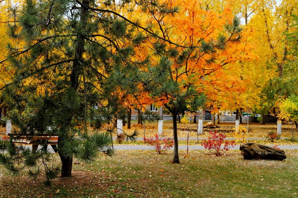 Фотография автора Александр Челмодеев