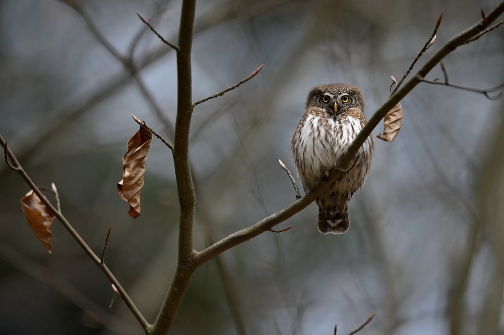Photograph by Lubomir Novak