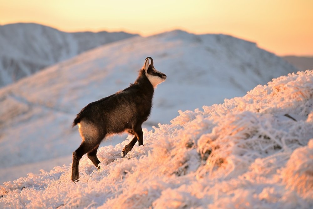 Photograph by Lubomir Novak