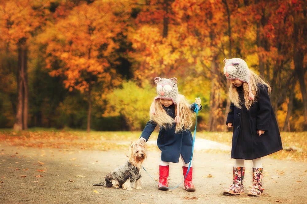 Photograph by Юлия Пошехонова