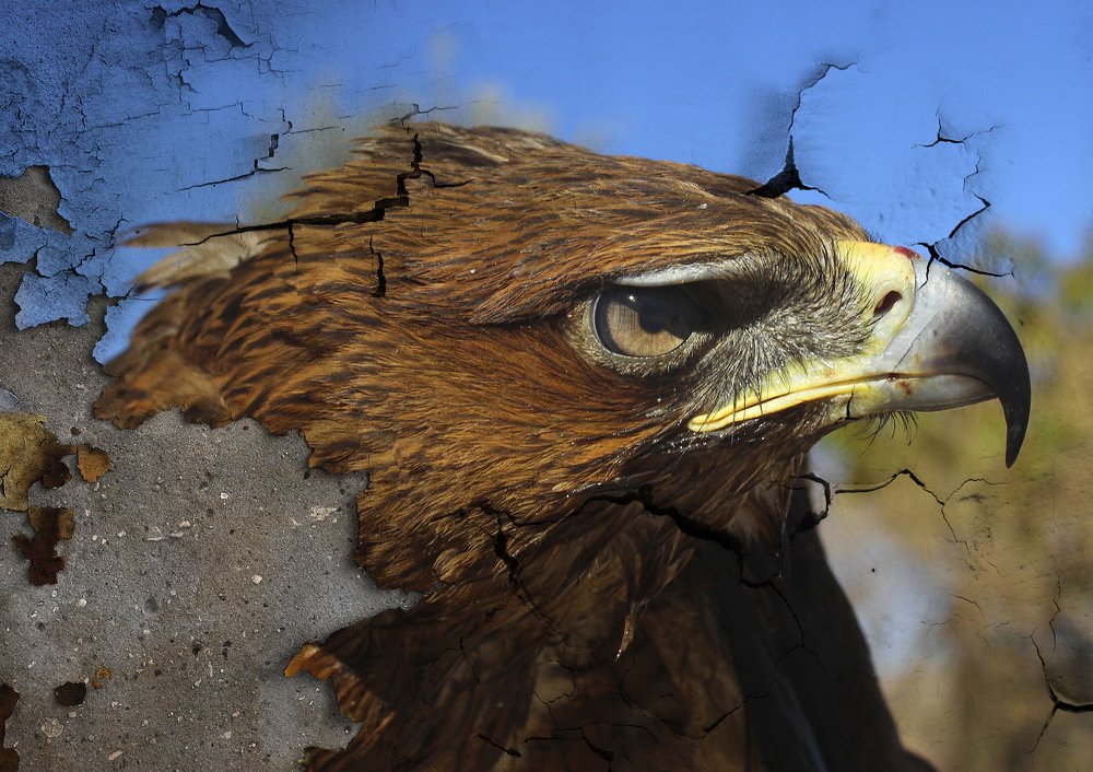 Photograph by seyedmohamad tabrizi