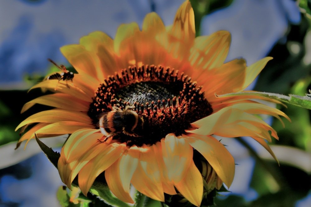 Photograph by Francisco Ferreira