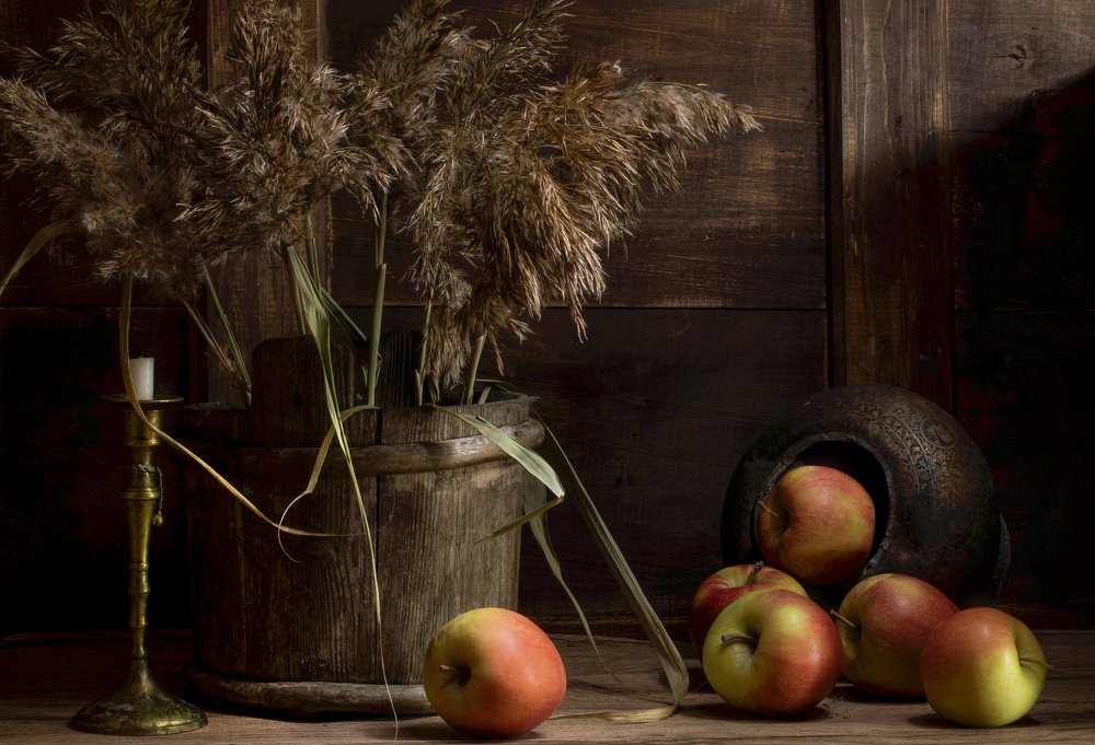 Photograph by Yulia Nikolaeva