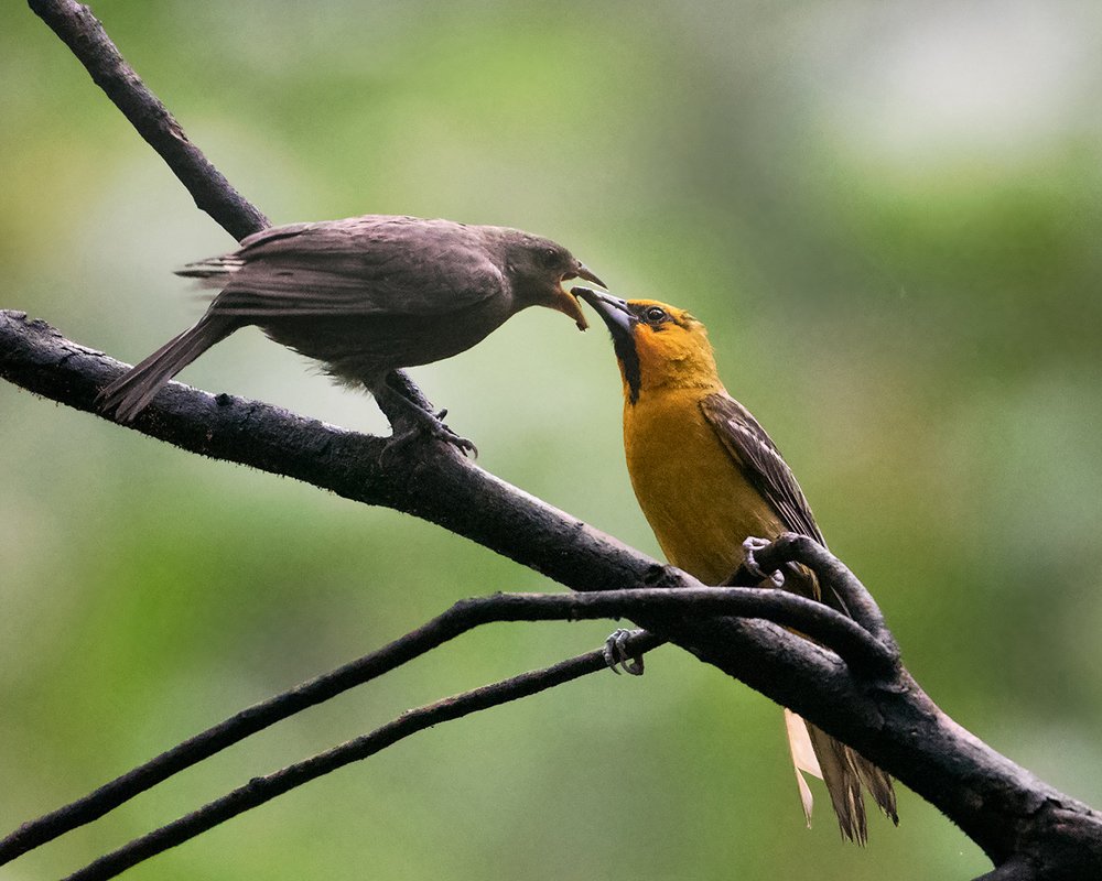 Photograph by León Hernández