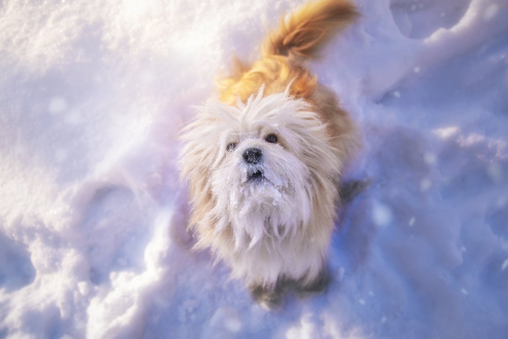 Photograph by Ольга Шацкая