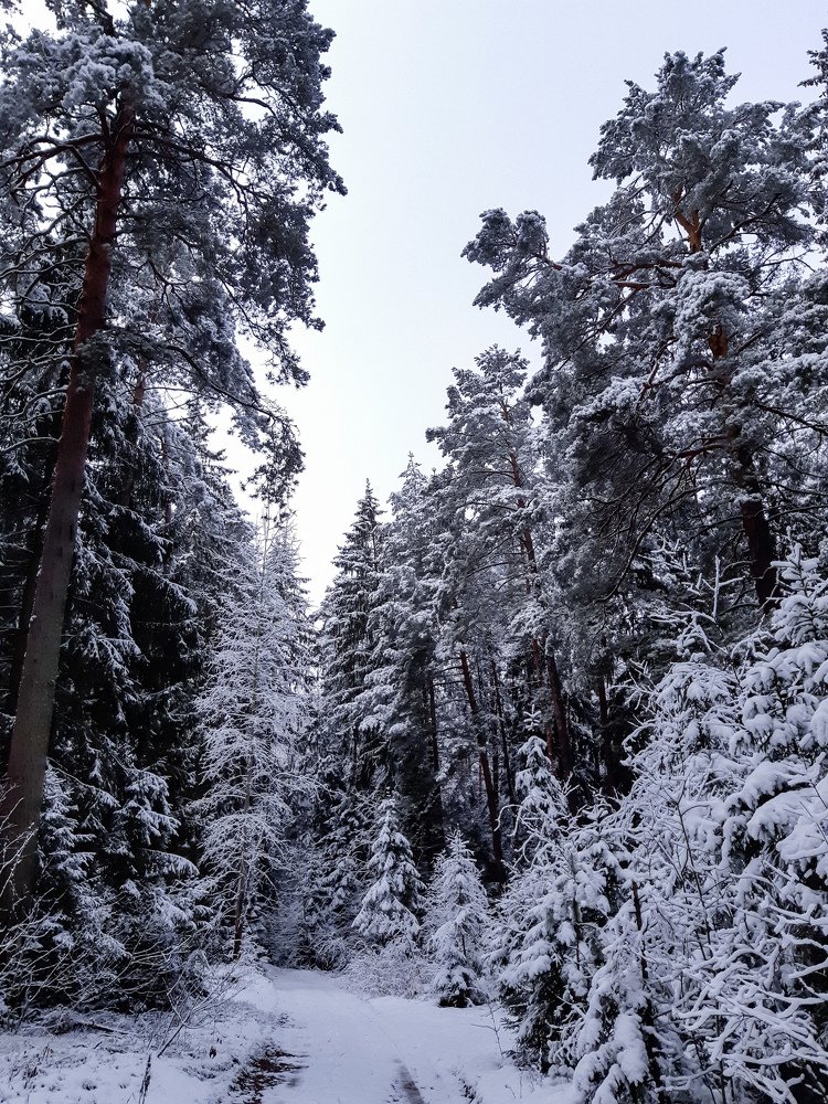 Photo #5285384